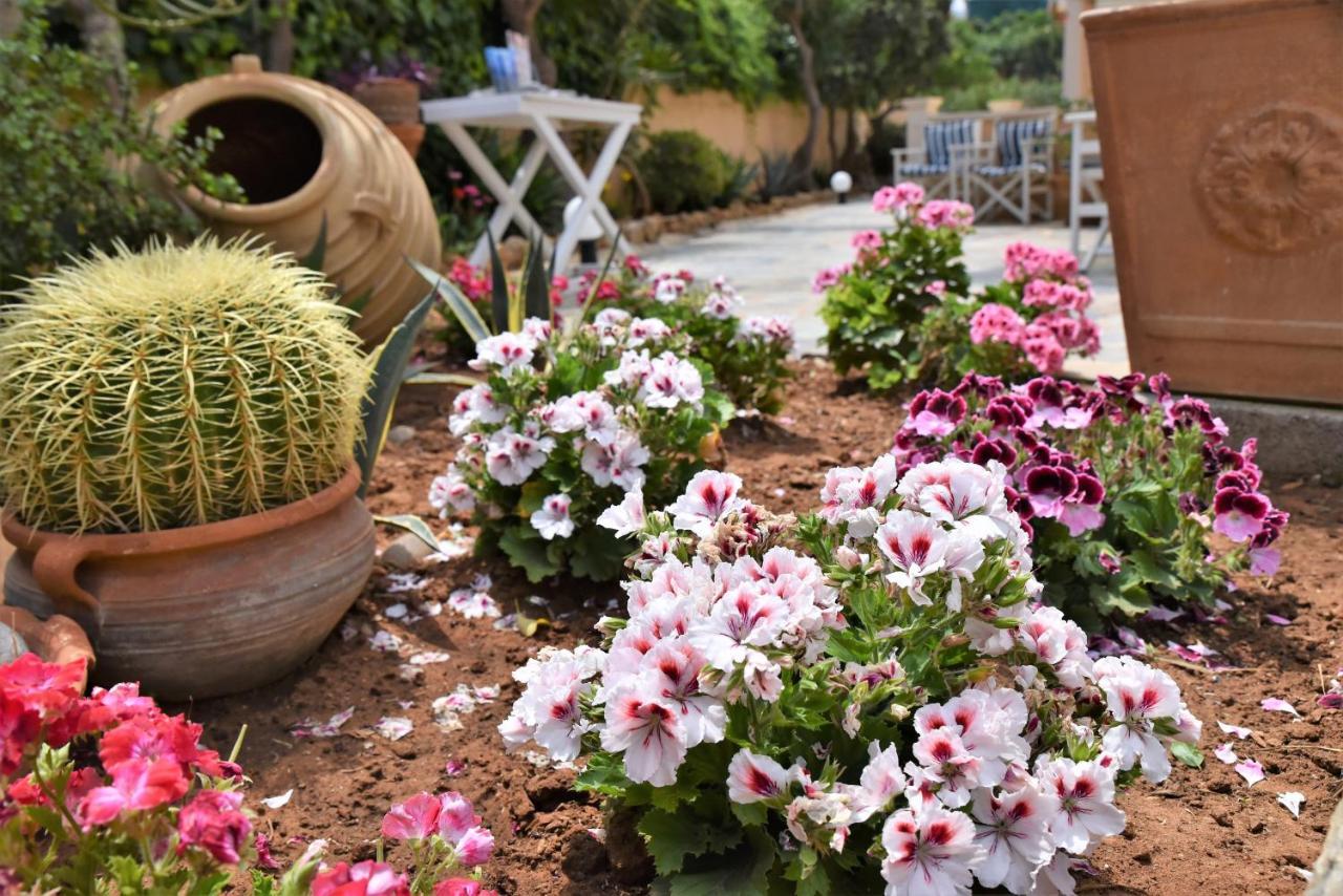 Golden Bay Hotel Apartments Μάλια Εξωτερικό φωτογραφία